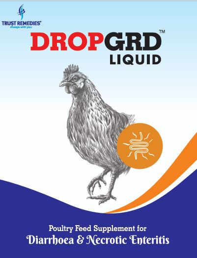 DropGRD® — Poultry Feed Supplement for Diarrhoea & Necrotic Enteritis