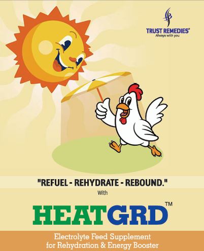 Heatgrd® — Electrolyte Feed Supplement for Heat Stress