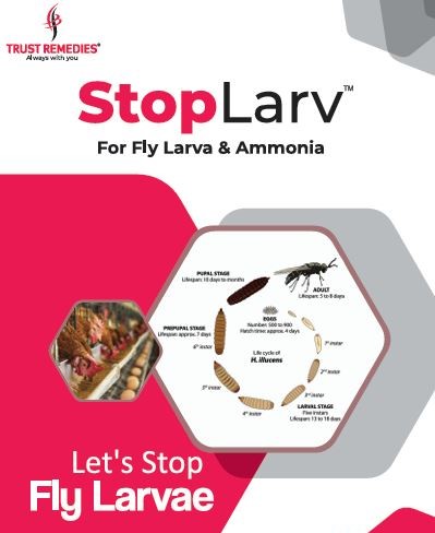 StopLarv® — Herbal Solution for Fly Larvae & Ammonia Control