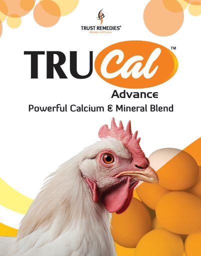 TruCal Advance® — Powerful Calcium & Mineral Blend