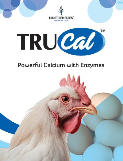 TruCal® — Powerful Calcium with Enzymes