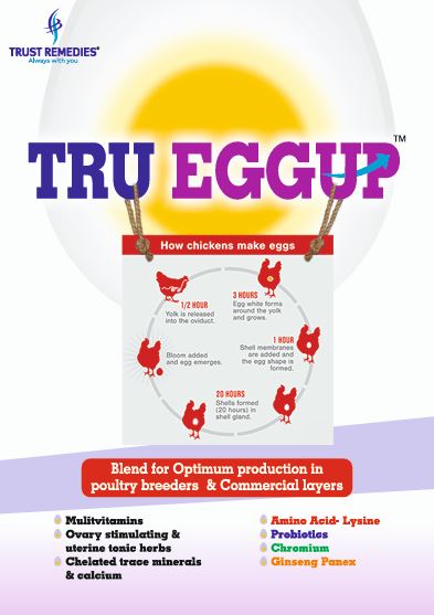 Trueggup® — Blend for Optimum Egg Production in Layers & Breeders